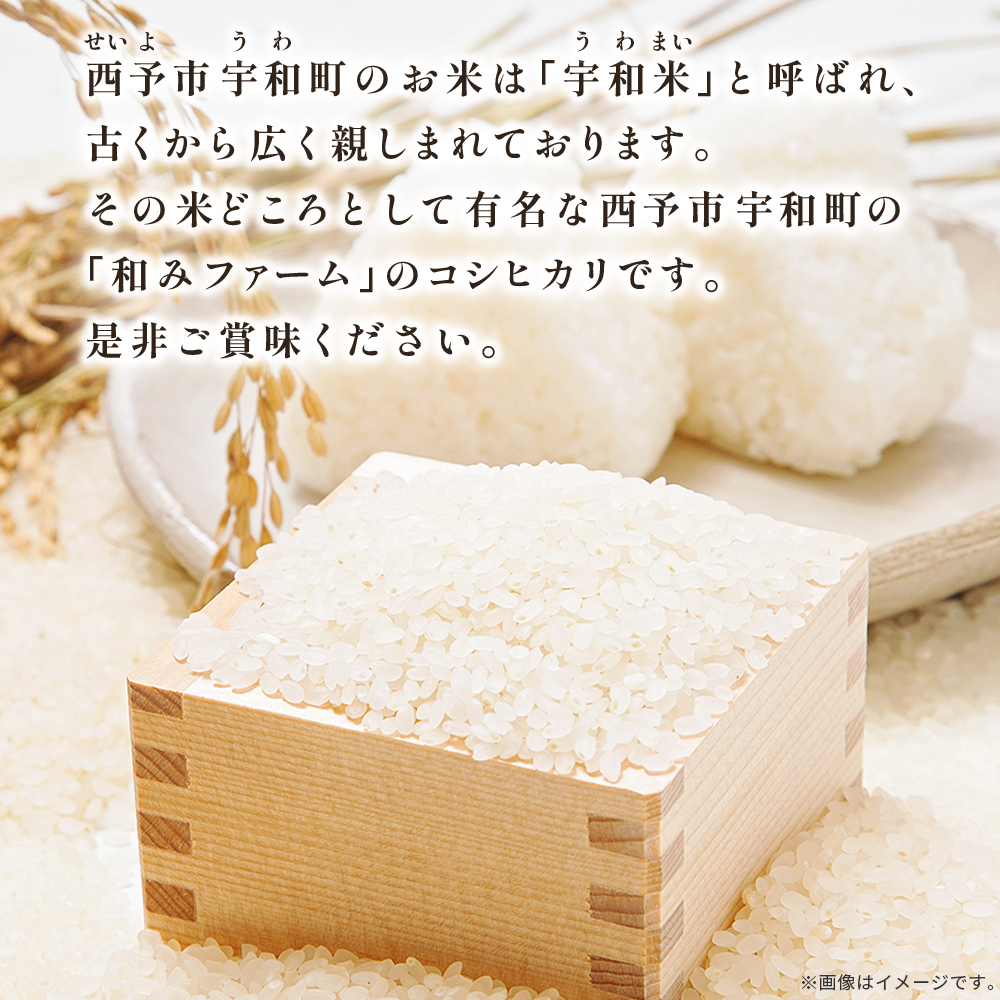 ＜令和7年産 愛媛県西予市産 コシヒカリ 田んぼダム米 10kg＞ 10キロ こしひかり 西予応援米 宇和米 お米 コメ こめ 白米 精米 米 国産 愛媛県産 宇和町産 和みファーム 愛媛県 西予市