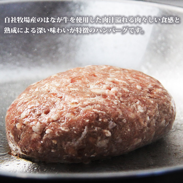 ＜熟成肉 はなが牛ハンバーグ 150g×6個 計900g＞ お肉 牛肉 ビーフ 牛100％ 肉加工品 お惣菜 洋食 おかず おつまみ お弁当 ランチ ディナー 国産 小分け 個包装 簡単調理 特産品 ゆうぼく 愛媛県 西予市
