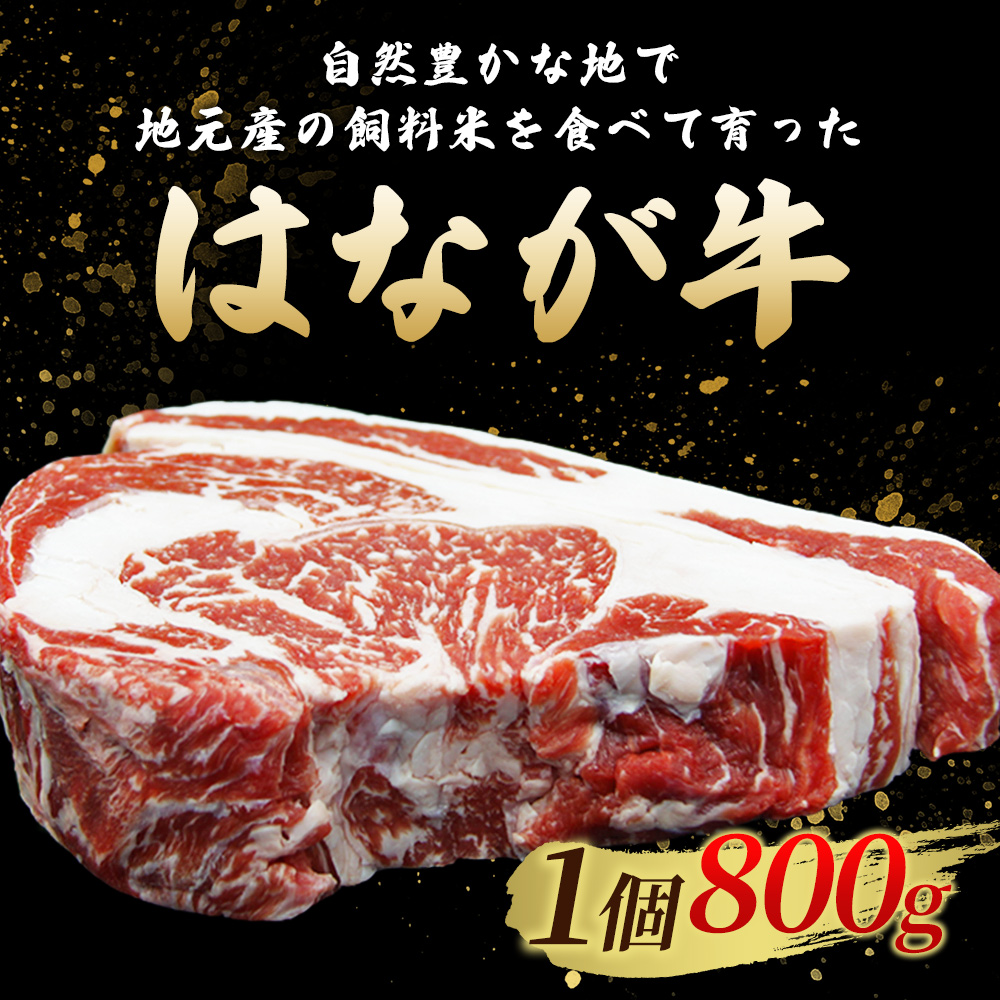 ＜熟成肉 はなが牛リブロースブロック約1.6kg（800g×2個）＞ 牛肉 ステーキ 鉄板焼き 焼き肉 国産 塊肉 かたまり 霜降り しもふり バーベキュー BBQ キャンプ アウトドア 特産品 ゆうぼく 愛媛県 西予市