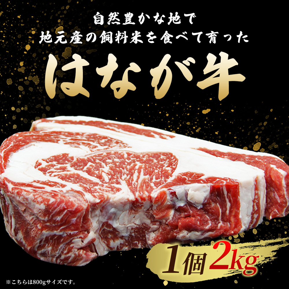 ＜熟成肉 はなが牛リブロースブロック約2kg（2kg×1個）＞ 牛肉 ステーキ 鉄板焼き 焼き肉 国産 塊肉 かたまり 霜降り しもふり バーベキュー BBQ キャンプ アウトドア 特産品 ゆうぼく 愛媛県 西予市