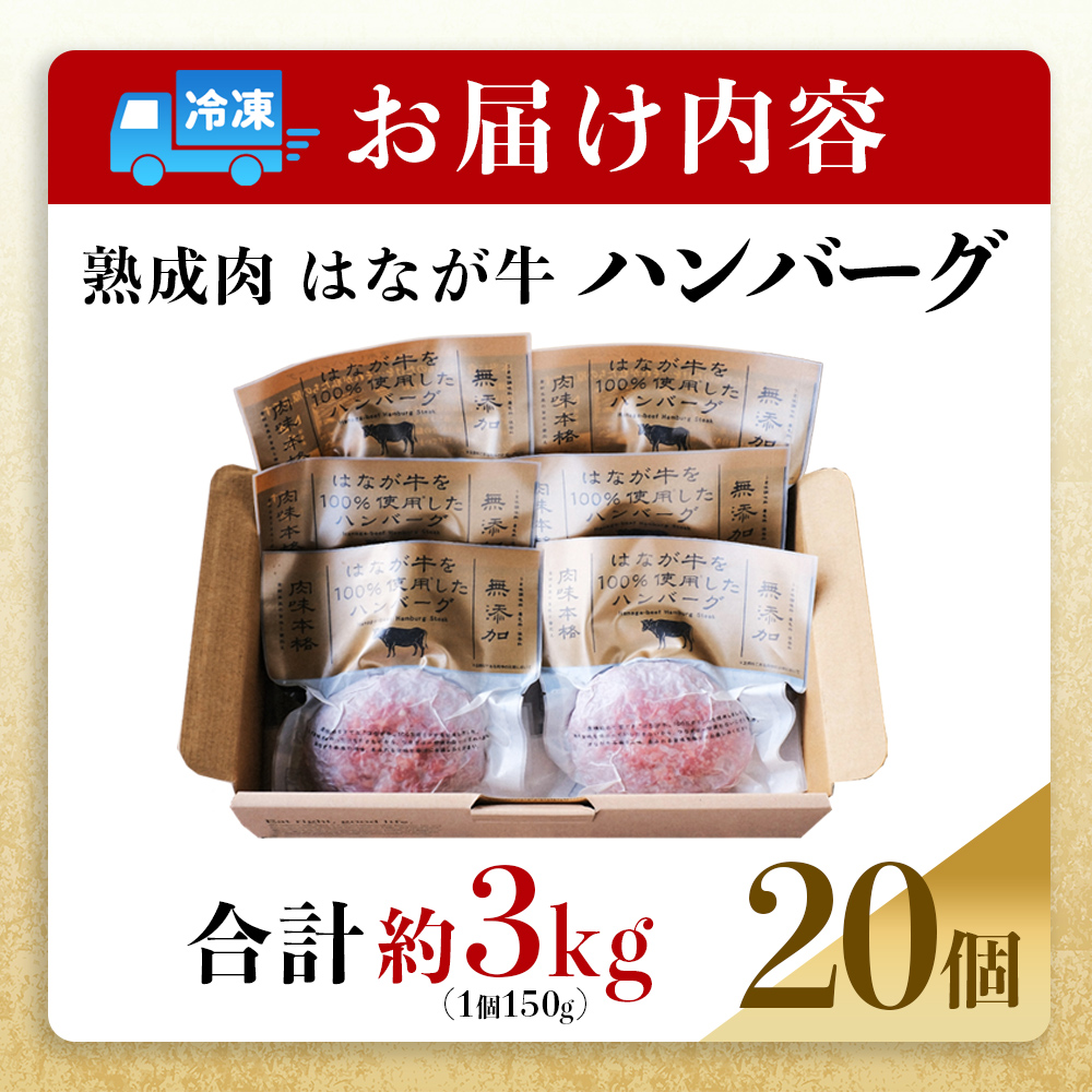 ＜熟成肉 はなが牛ハンバーグ 20個（1個150g）＞ 肉 お肉 牛肉 牛 ビーフ 牛100％ 肉加工品 お惣菜 洋食 おかず 弁当 ランチ ディナー 国産 小分け 個包装 簡単調理 特産品 ゆうぼく 愛媛県 西予市