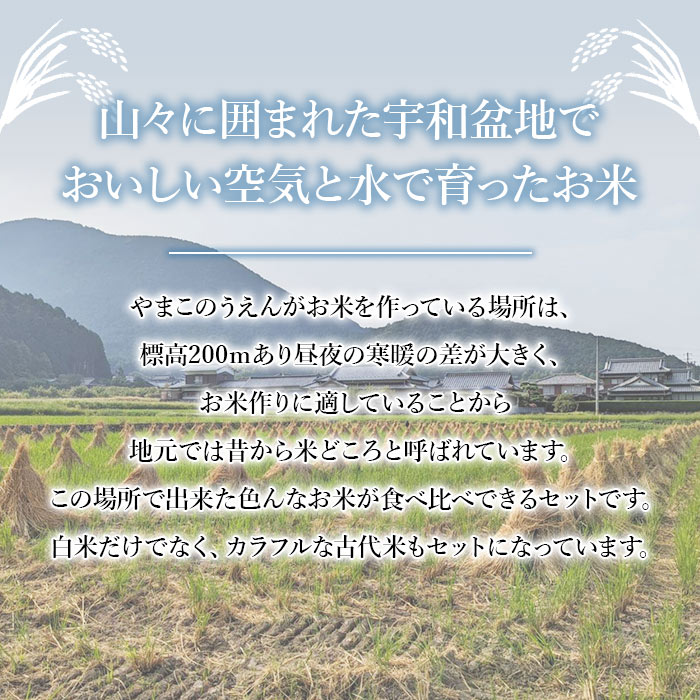 ＜古代米も入った！やまこのうえんのお米 4種類食べ比べセット 合計5.3kg＞ お米 コメ ご飯 こしひかり コシヒカリ にじのきらめき 古代米 黒米 赤米 食べ比べ 愛媛県 西予市