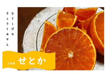 ひさしげ農園　西宇和産セレクトみかんセット