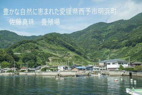 明浜産真珠ペンダント・トロア（ホワイト）