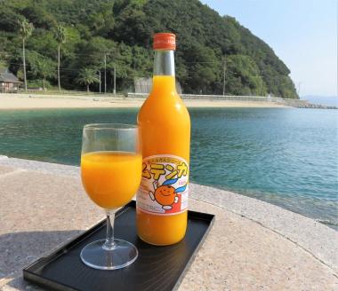 ムテンカ（明浜みかんジュース）12本セット