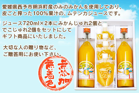 むてじゅれセット