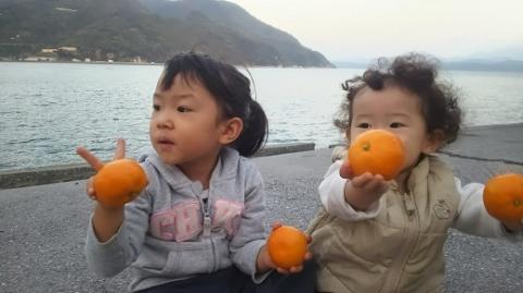 安樹屋　愛媛県明浜産　温州みかん（早生） 10kg（家庭用）