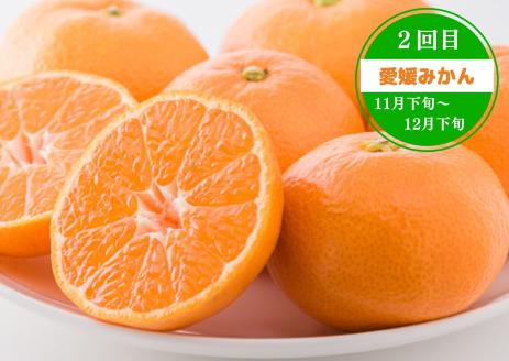 【定期便全3回】紅マドンナジュース・愛媛みかん・谷口農園のいちご（紅い雫）