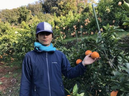 いのうえ農園直送西宇和産温州みかん（宮川早生） 5kg