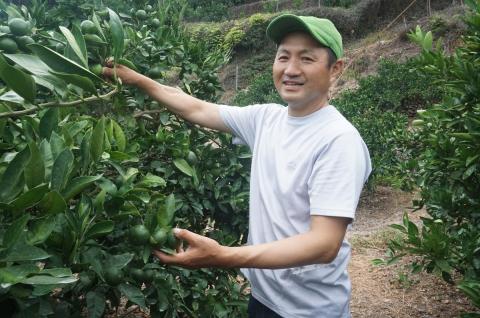 愛媛県西宇和産　でん助みかん（極早生）5kg　ご家庭用