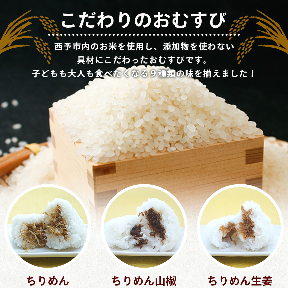 ＜漁師の朝めし 9種おむすびセット 合計9個＞ 詰め合わせ おにぎり ちりめん 山椒 生姜 青のり つくだ煮 しそわかめ 大根葉 梅ごま ひじき おかず 一人暮らし 簡単 贈答用 食べ比べ 愛媛県 西予市 合計9個（9種×各1個）（寄附額：7,000円）