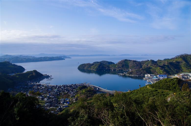 愛媛県明浜産 天晴みかんジュース（はるか） 1本