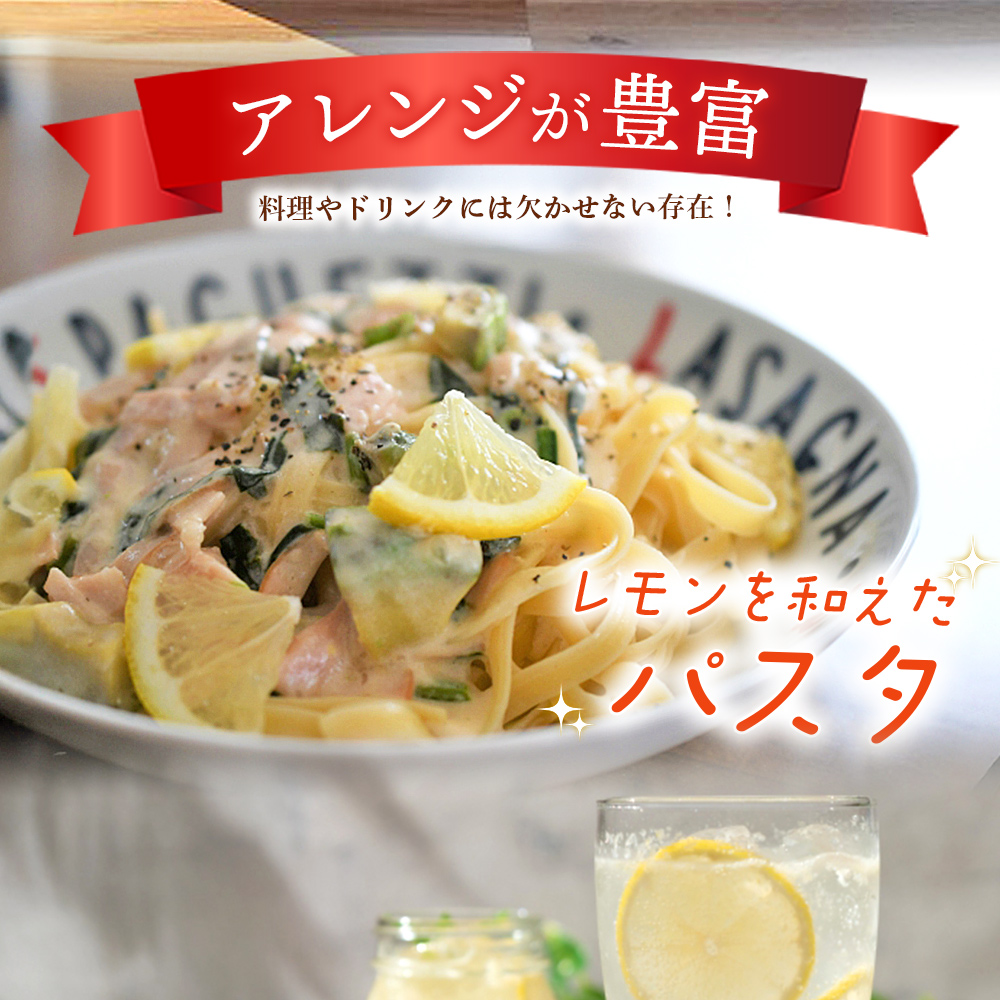 ＜天晴レモン ご家庭用 約3kg＞ フルーツ 果物 くだもの レモン れもん 檸檬 柑橘 訳あり わけあり ワケアリ 自宅用 料理 国産 国産レモン 愛媛県産 特産品 株式会社笑丸 愛媛県 西予市