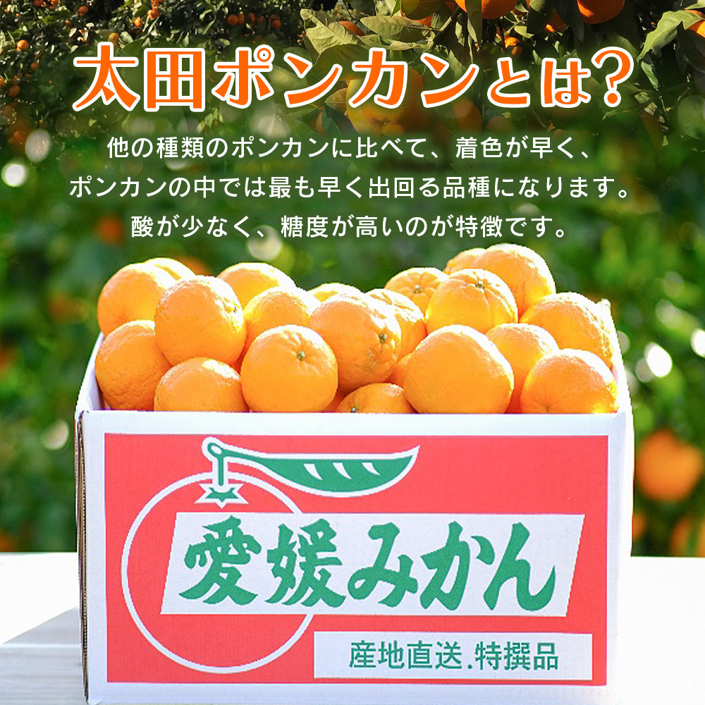 ＜太田ポンカン 家庭用 約10kg＞ 果物 くだもの フルーツ みかん ミカン 柑橘 太田ぽんかん おおたぽんかん オオタポンカン ぽんかん 訳あり ご自宅用 特産品 株式会社笑丸 愛媛県 西予市 約10kg（寄附額19,000円）