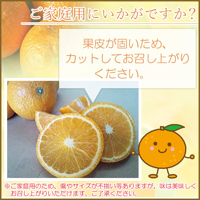 ＜愛媛県西予市産 スイートスプリング 家庭用 約8kg＞ 訳あり ワケアリ すいーとすぷりんぐ 果物 くだもの みかん ミカン 柑橘 甘い フルーツ 果実 特産品 産地直送 段畑みかん株式会社 愛媛県 西予市 約８kg（寄附額15,000円）