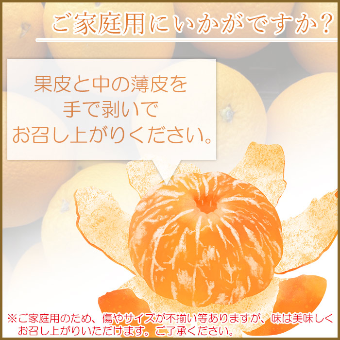 ＜愛媛県西予市産 伊予柑 家庭用 約8kg＞ 訳あり ワケアリ 自宅用 果物 くだもの ミカン 柑橘 フルーツ いよかん イヨカン 特産品 産地直送 段畑みかん株式会社 愛媛県 西予市