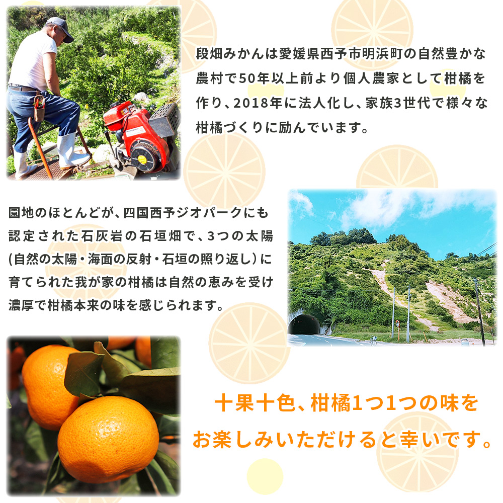 ＜愛媛県西予市産 温州みかん（南柑20号）家庭用 約5kg（サイズ不揃い・小傷あり）＞ 訳あり 果物 くだもの ミカン 柑橘 フルーツ 段畑みかん株式会社 愛媛県 西予市 約５kg（寄附額7,000円）