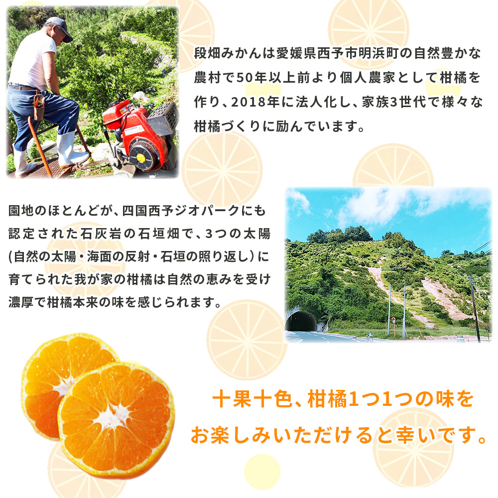 ＜愛媛県西予市産 温州みかん 家庭用 約3kg＞ 果物 くだもの うんしゅうみかん ウンシュウミカン ミカン 蜜柑 柑橘 フルーツ 自宅用 訳あり 旬 特産品 産地直送 段畑みかん株式会社 愛媛県 西予市 約３kg（寄附額5,000円）