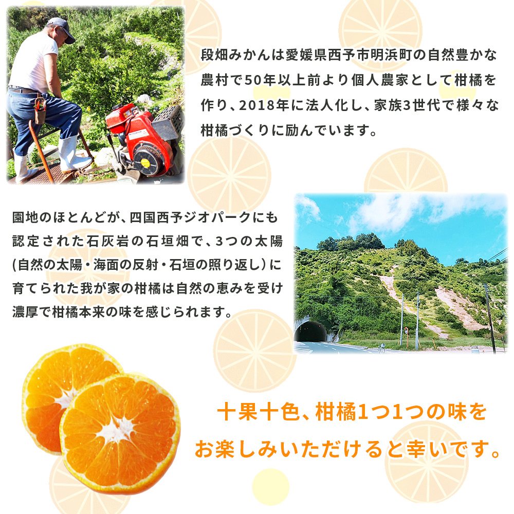 ＜愛媛県西予市産 スイートスプリング 家庭用 約4kg＞ 訳あり ワケアリ すいーとすぷりんぐ 果物 くだもの みかん ミカン 柑橘 甘い フルーツ 果実 特産品 産地直送 段畑みかん株式会社 愛媛県 西予市 約４kg（寄附額8,000円）