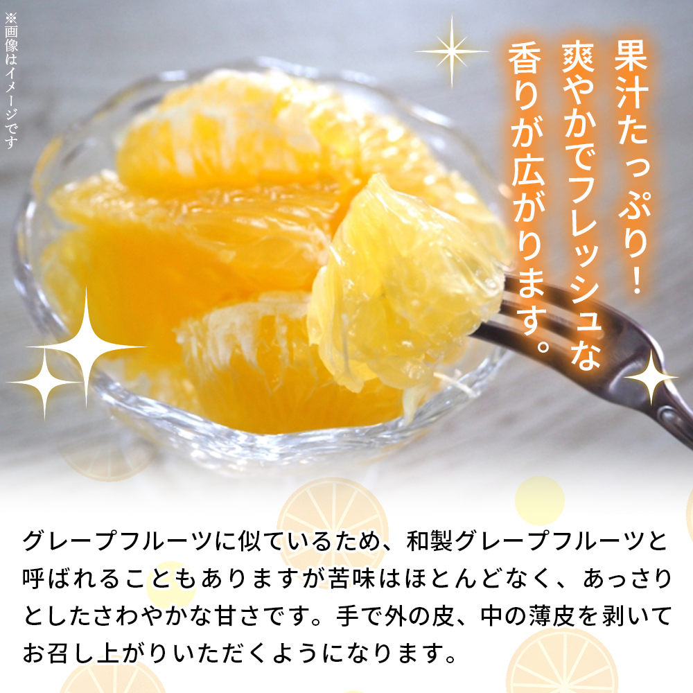 ＜河内晩柑 約7kg＞ 果物 くだもの みかん ミカン 柑橘 フルーツ かわちばんかん カワチバンカン ジューシーフルーツ 愛南ゴールド 御荘柑 国産 特産品 産地直送 段畑みかん株式会社 愛媛県 西予市