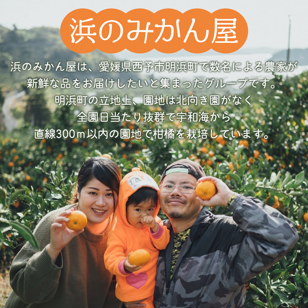 ＜果汁100％みかんジュース 720ml×6本セット＞ 温州みかん ストレート 柑橘 果物 ミカン 詰め合わせ フルーツ 愛媛県 西予市