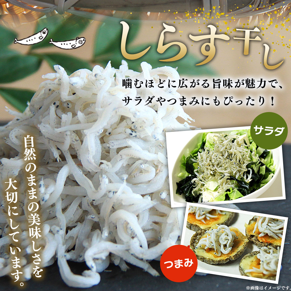 ＜漁師さん自慢のしらす干し 合計1kg（100g×10パック）＞ シラス 魚介類 さかな 海産物 海鮮 海の幸 小分け 国産 ご飯のお供 丼 おつまみ 晩酌 おかず おやつ 特産品 産地直送 濵田水産 愛媛県 西予市 1kg(100g×10パック)（寄附額10,000円）