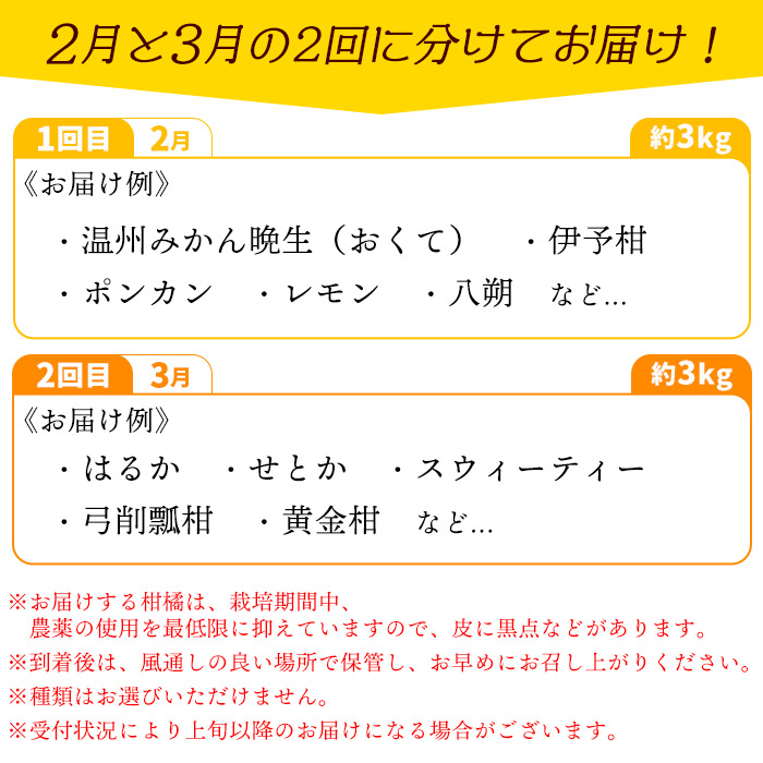 ＜旬をお届け！季節の柑橘詰合せ 2回定期便（約3kg×2回 合計約6kg）＞みかん ミカン 詰め合わせ 蜜柑 果物 フルーツ 食べ比べ 特産品 二ノ宮商事 愛媛県 西予市