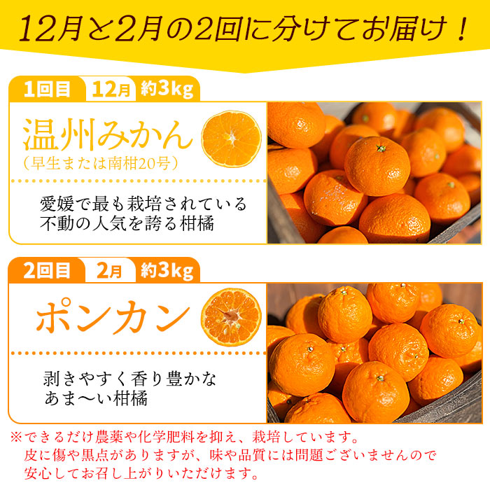＜旬をお届け！季節の柑橘 2回定期便（温州みかん約3kg・ポンカン約3kg）＞ミカン ぽんかん 蜜柑 果物 フルーツ 2種類 食べ比べ 手軽 特産品 二ノ宮商事 国産 愛媛県 西予市