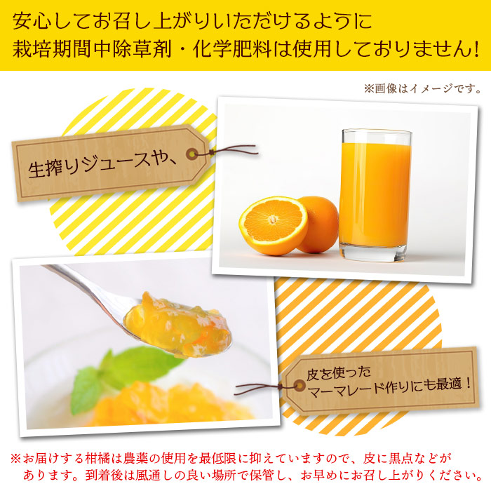 ＜旬をお届け！温州みかん 約5kg＞ 数量限定 ミカン 蜜柑 果物 柑橘類 果実 オレンジ フルーツ 早生 20号 手軽 特産品 国産 明浜産 二ノ宮商事株式会社 愛媛県 西予市