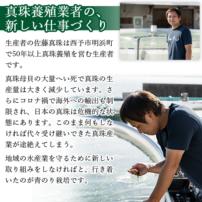 ＜打ち抜き海水で育てた「すじ青のり」（粉末3g×2パック）＞ 甲殻類アレルギーフリー 色づけ 香りづけ お好み焼き たこ焼き 焼きそば おはぎ ピザ お吸い物 茶碗蒸し 佐藤真珠 愛媛県 西予市