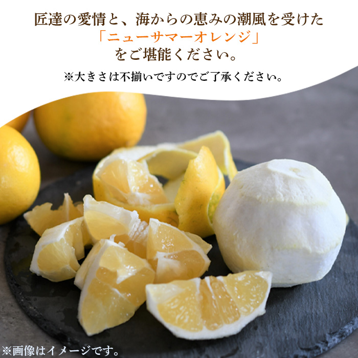 ＜愛媛県西予市産 ニューサマーオレンジ 約3kg＞ 果物 フルーツ ミカン 柑橘 日向夏 特産品 渡江から一歩を踏み出す会 愛媛県 西予市