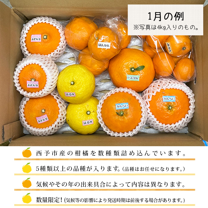 愛媛県明浜産ジュエリーボックス（柑橘編）4kg【配送月指定】