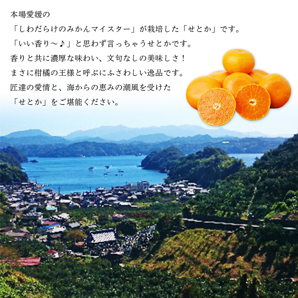 愛媛西予市産 せとか 約1kg