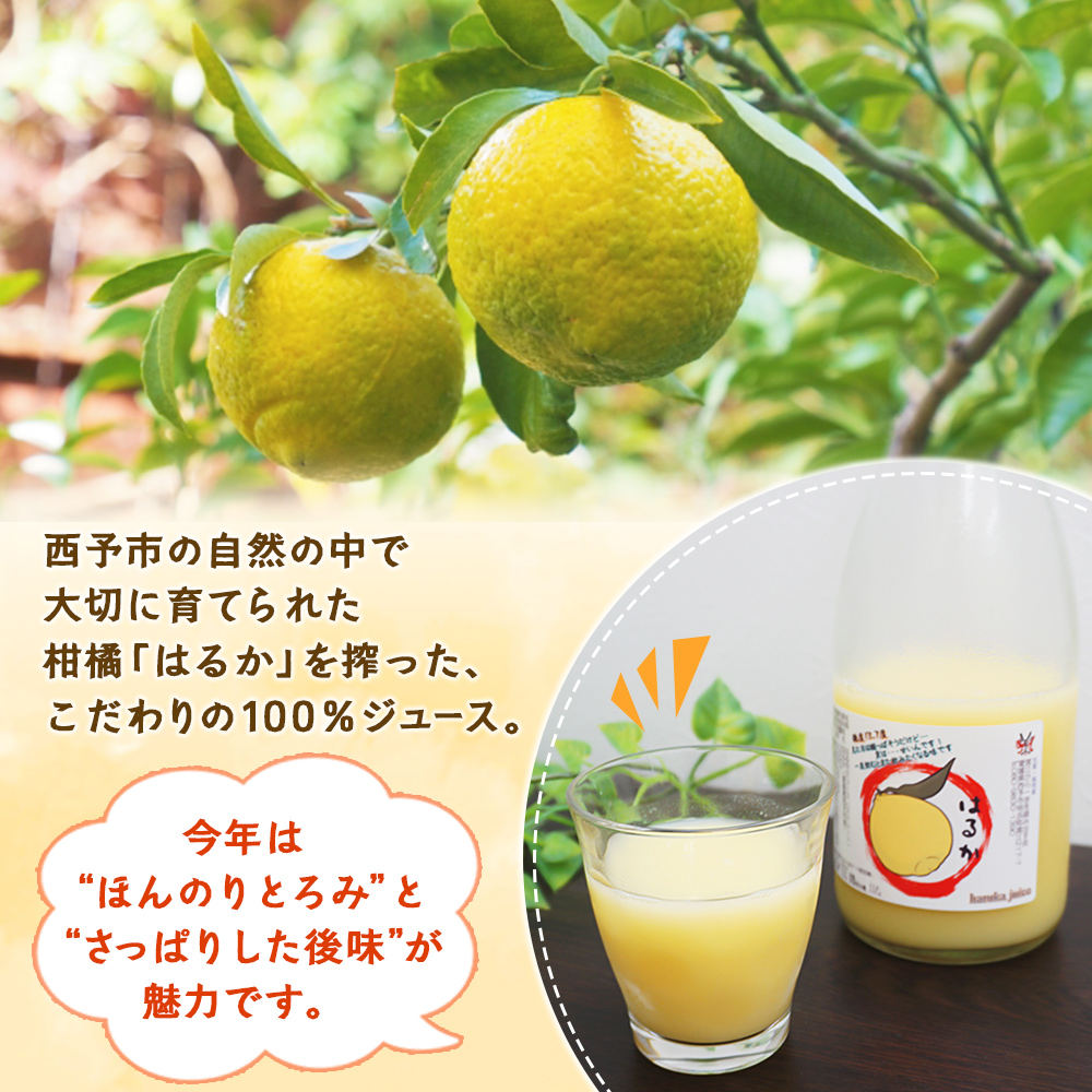 ＜はるかジュース 720ml×2本セット＞ 愛媛 果汁 100% はるか ジュース ストレート みかん じゅーす 100%ジュース セット 柑橘 果物 フルーツ 飲料 オレンジ 特産品 渡江から一歩を踏み出す会 愛媛県 西予市