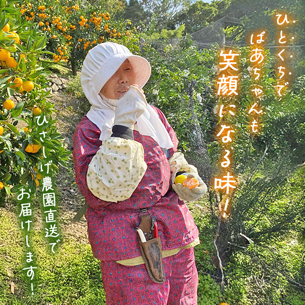 ＜ひさしげ農園直送 西宇和産 温州みかん 約5kg＞ 早生 温州みかん 温州ミカン 果物 くだもの みかん ミカン 柑橘 フルーツ 柑橘 果実 国産 5キロ 愛媛県産 特産品 ひさしげ農園 愛媛県 西予市