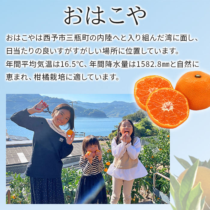 ＜訳あり おはこやがつくる 甘平 約3kg＞ ワケアリ 家庭用 自宅用 果物 くだもの 果実 フルーツ 柑橘類 かんぺい カンペイ みかん ミカン 蜜柑 特産品 西宇和 愛媛県 西予市