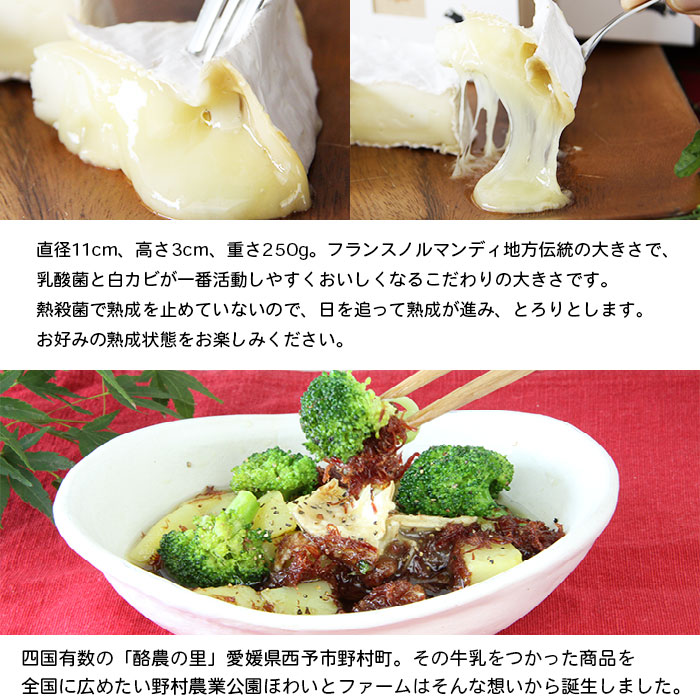 ＜カマンベールチーズ 「森のろまん」 250g×2個 ＞発酵食品 乳製品 加工品 生乳 伯方の塩 おつまみ ワイン おかず ピザ フォンデュ お料理 特産品 箱入り ギフト 国産 愛媛県 西予市 250g×2個（寄附額16,000円）