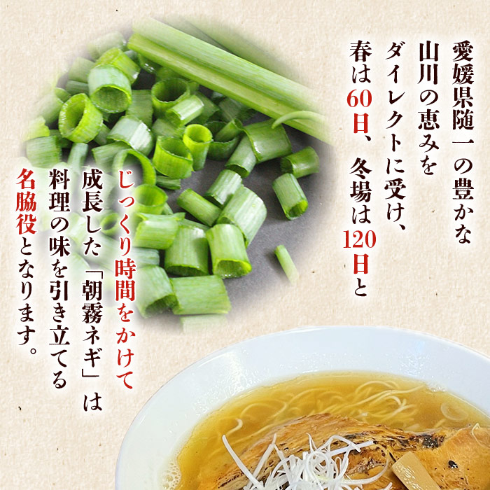 ＜愛媛県西予市産 朝霧ネギ 約2kg（80g入り×25袋）＞ 根無し 西予市産 愛媛県産 国産 野菜 やさい 青葱 青ネギ 青ねぎ 葉ネギ 葱 ねぎ 特産品 株式会社ノムランド 愛媛県 西予市