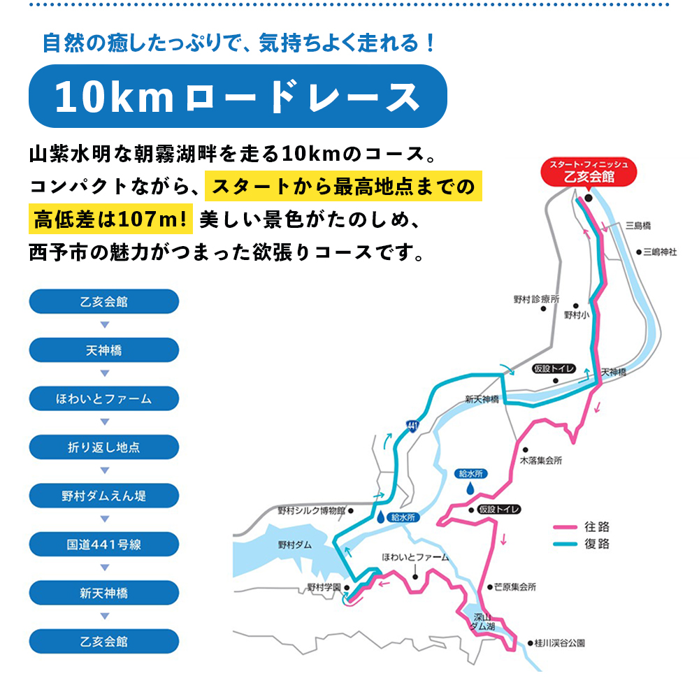 【ふるさと納税】＜四国せいよ朝霧湖マラソン＞ ロードレース ハーフマラソン ハーフ 10km 10キロ ランニング ランナー スポーツ 運動 参加 出走 体験 チケット 自然 朝霧湖 あさぎりこ マラソン まらそん マラソン大会 四国せいよ朝霧湖マラソン事務局 愛媛県 西予市