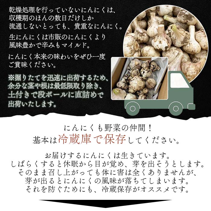 ＜四国カルスト産 生にんにく 約1kg＞ 期間限定 野菜 新鮮 産地直送 福地ホワイト六片種 土付き 掘りたて ニンニク ガーリック 調味料 料理 株式会社祐 愛媛県 西予市