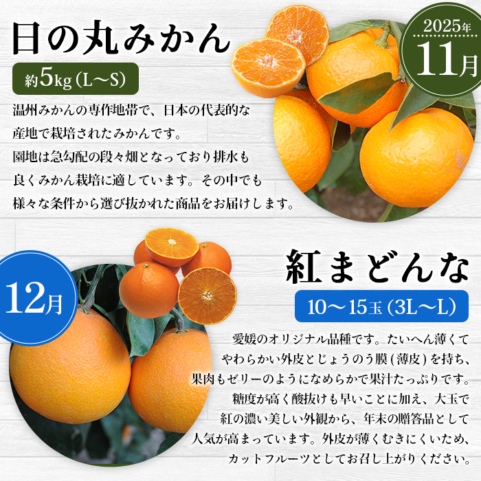 ＜2025年11月発送開始 えひめかんきつ定期便 全6回＞ 果物 フルーツ みかん ミカン 蜜柑 柑橘 日の丸みかん 紅まどんな 伊予柑 いよかん デコポン せとか 河内晩柑 愛媛県 西予市