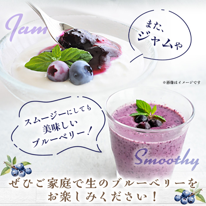 ＜愛媛県西予市産 ブルーベリー 約1kg（100g入り×10パック）＞ ぶるーべりー 果実 果物 生 くだもの フルーツ 国産 小分け ジャム スムージー 株式会社フジ・アグリフーズ 愛媛県 西予市【冷蔵】