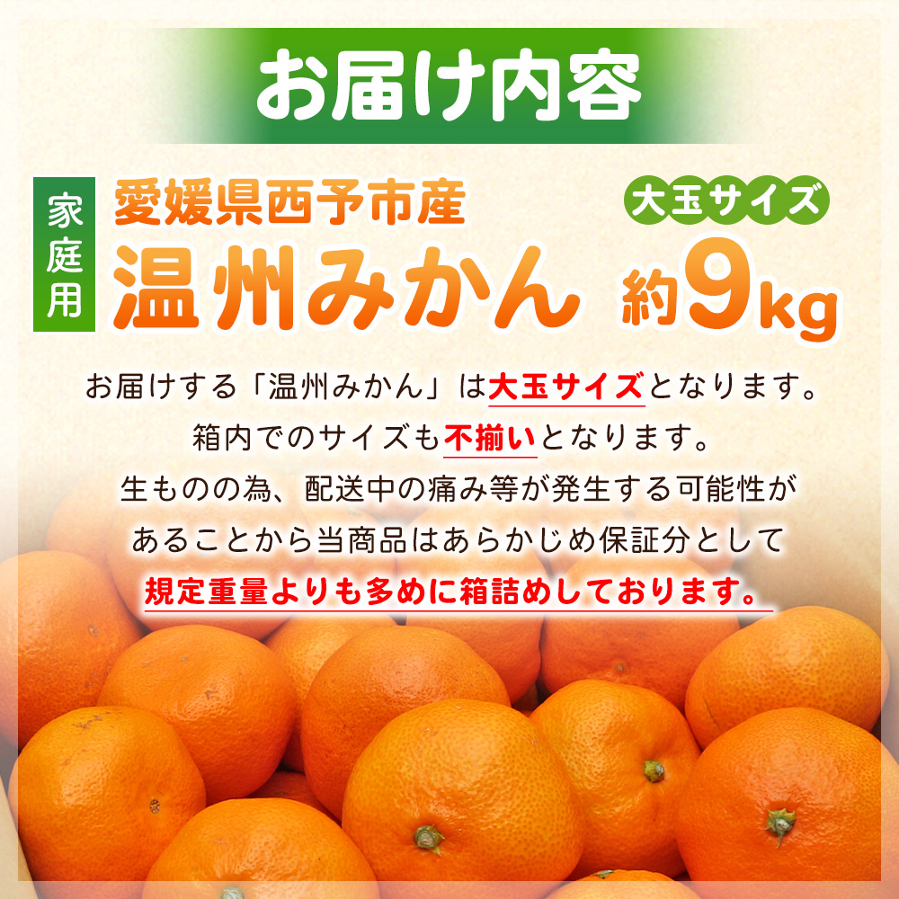＜愛媛県西予市産 温州みかん 大玉サイズ 家庭用 約9kg＞ 愛媛県産 西宇和 大玉 大きめ 家庭用 果物 フルーツ 柑橘 うんしゅうみかん オレンジ ミカン 蜜柑 訳あり 小林果園 愛媛県 西予市