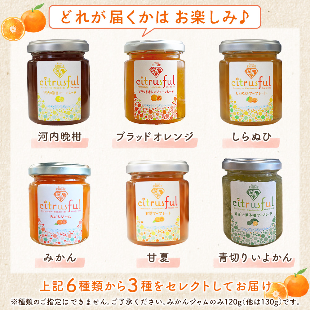 ＜マーマレード・ジャム 3種セット＞ 国産 愛媛県産 西宇和 マーマレード ジャム セット 3個 産地直送 季節のジャム みかん ミカン 果物 フルーツ 柑橘 オレンジ 蜜柑 手作り 果実 手作りジャム 小林果園 愛媛県 西予市