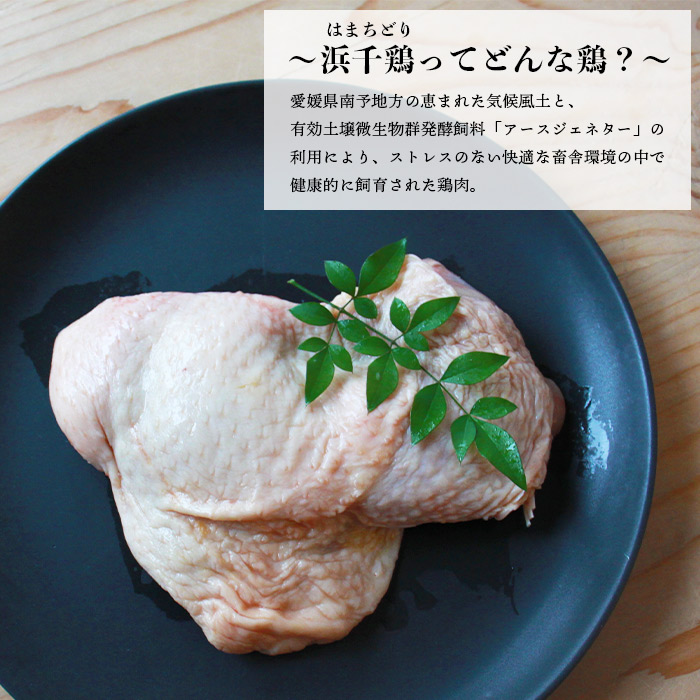 ＜銘柄鶏 浜千鶏 愛媛県産 若鶏もも肉 3kg（1kg×3）＞ 国産 鶏肉 鳥肉 とり チキン モモ肉 ブロック 精肉 にく 料理 アレンジ 夕飯 夕食 お弁当 昼食 唐揚げ から揚げ 焼き鳥 愛媛県 西予市