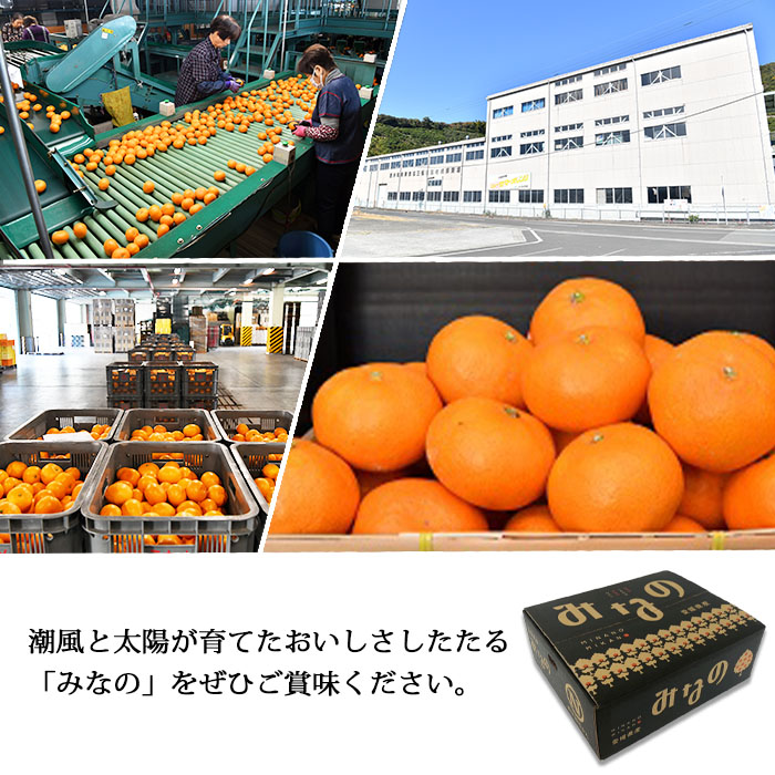 ＜JAにしうわ 温州みかん（みなの）約5kg＞ 果物 くだもの うんしゅう ミカン 蜜柑 柑橘類 フルーツ 特産品 西宇和農業協同組合 愛媛県 西予市