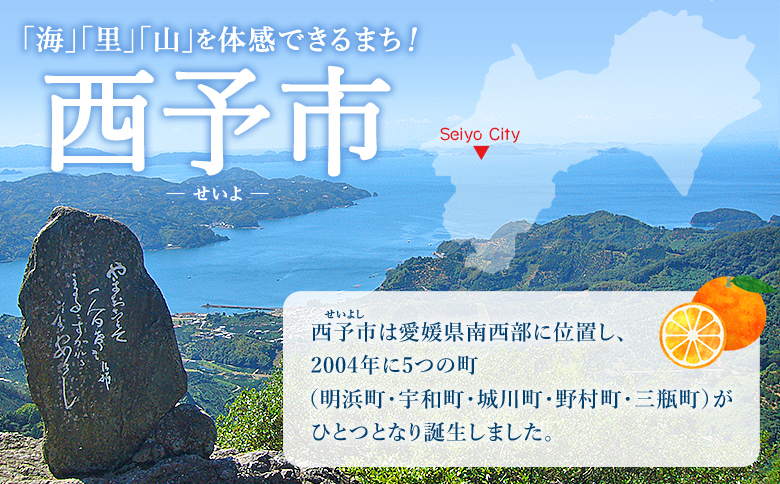 ＜訳あり 愛媛県産富士柿 合計約3.5kg＞『2026年11月上旬～12月下旬迄に順次出荷予定』かき 柿 ふじ柿 果物 くだもの フルーツ 旬 大玉 大きいサイズ 濃厚 秋の味覚 食べ応え抜群 特産品 株式会社OSN 愛媛県 西予市 【常温】