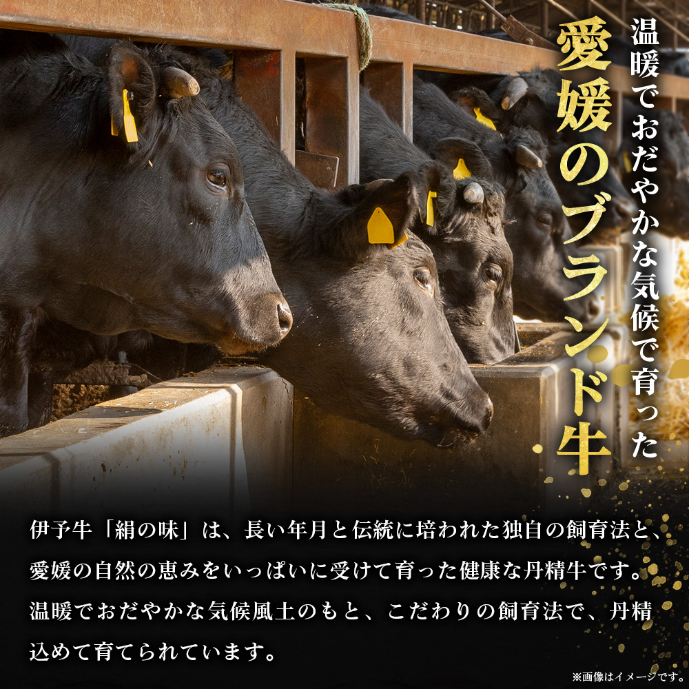 ＜伊予牛「絹の味」黒毛和牛 小間切れ 約800g＞ お肉 牛肉 精肉 国産 和牛 ブランド牛 こま切れ 小分け 全国農業協同組合連合会 愛媛県本部／愛媛県 西予市
