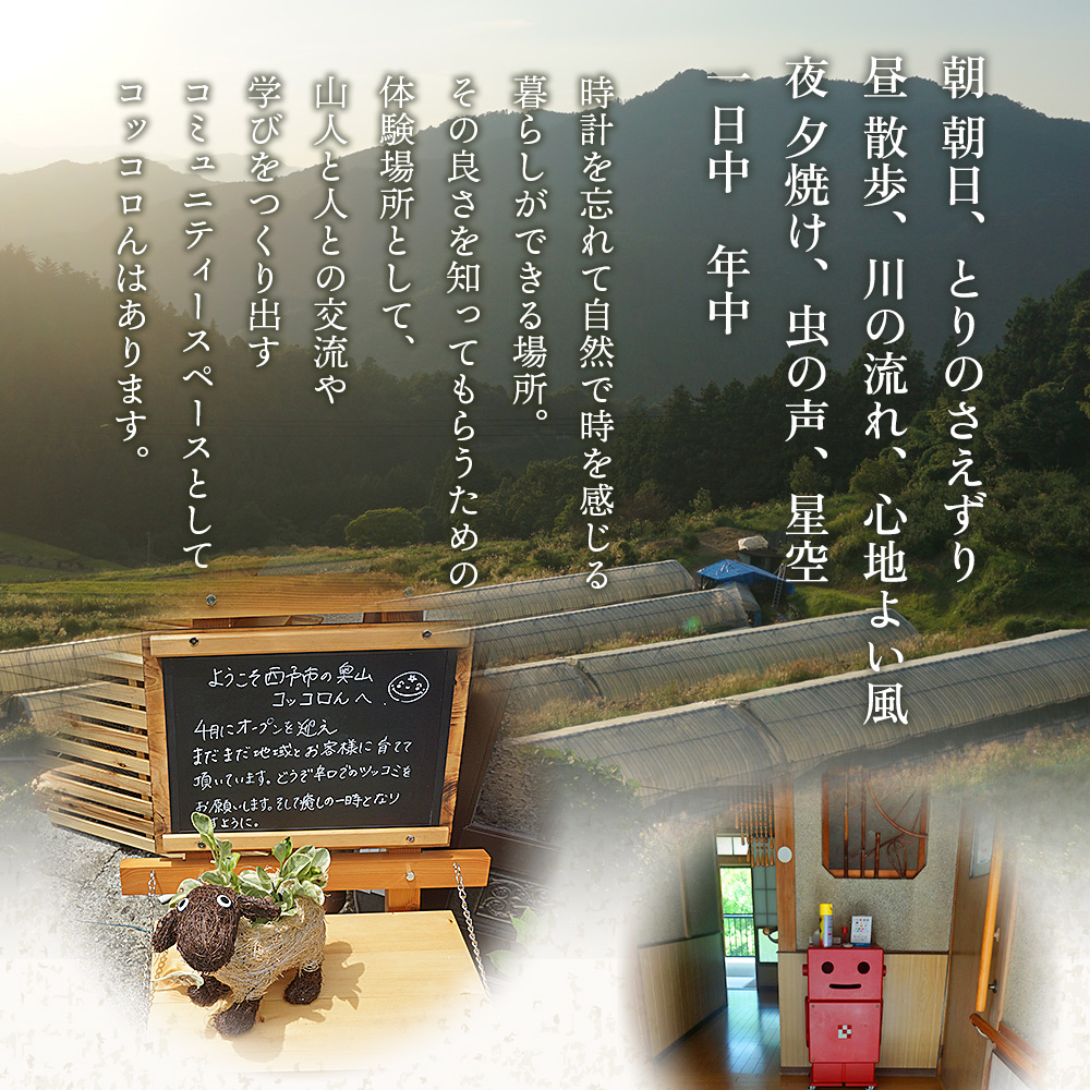 ＜大自然を感じるコッコロんの一棟貸しプラン(1泊)＞ ゲストハウス 古民家 宿 泊まり 利用券 旅 旅行 トラベル 1泊 犬同伴 愛犬 リラックス リノベーション アウトドア BBQ バーベキュー ピザ体験 愛媛県 西予市