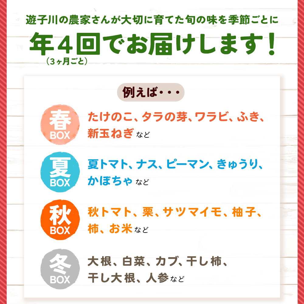 ＜旬の採れたて野菜が詰まったお楽しみBOX（3か月ごと年4回の定期便）＞ 西予市遊子川産 農家さんの顔が見える野菜 定期便 野菜 食べて応援 特産品 遊子川ザ・リコピンズ 愛媛県 西予市